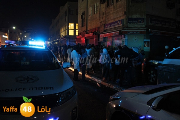 shejar aretreeien (8).JPG